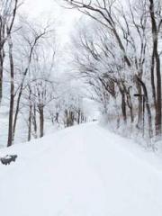 Lin Feng, Lin Yun, a