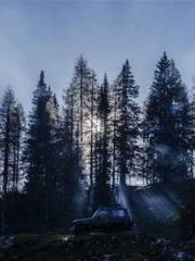 Lin Feng Lin Yun Yao