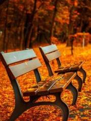 The Rough Man Hunter