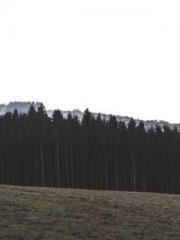 Awakening of the Mas