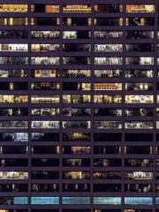 The Imperial Concubi