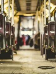 Peninsula Asteroid l