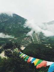 lt;Nineth Uncle, you